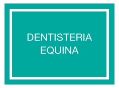 Dentisteria Equina
